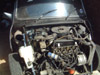Mini Front View, Front Removed, Brace Bars on